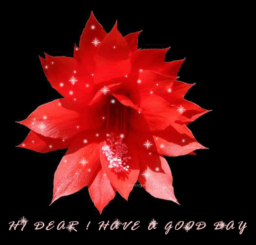 精美花朵闪图 - krazy_doll