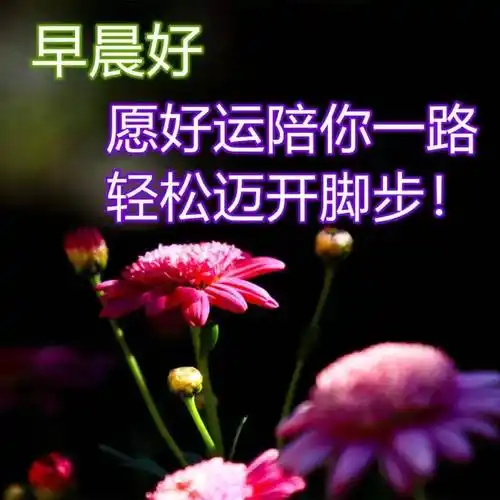原创8张最新漂亮风景早安早上好图片带祝福语好看的早安问候祝福语