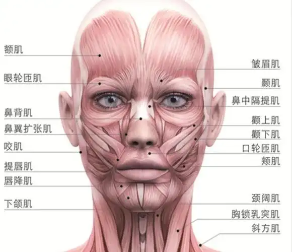 手法面部微雕公益课――正面管教专场