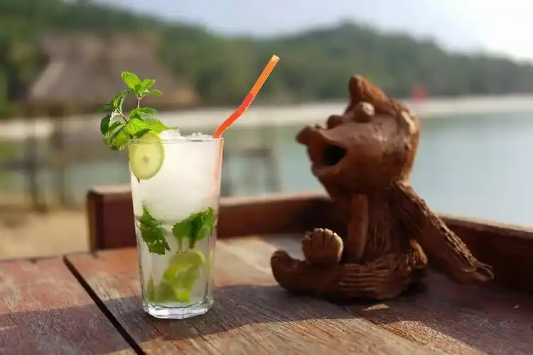 慢游华欣,找个安静小岛惬意的撸猫是一种什么体验?