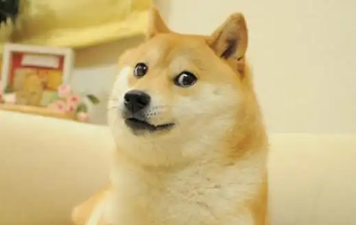 qq狗头表情 狗头emoji怎么打?-图片大观-奇异网