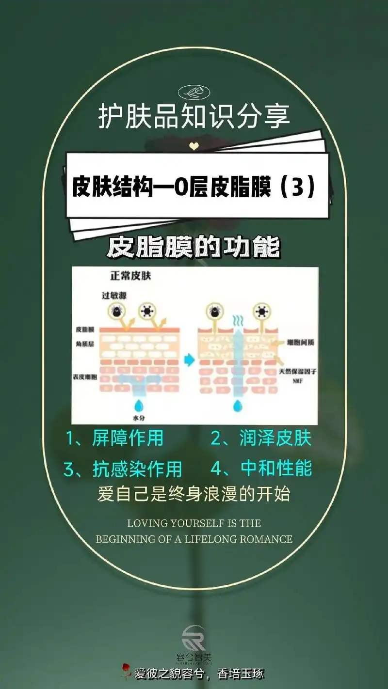 护肤知识分享820层皮脂膜82皮肤的大衣.