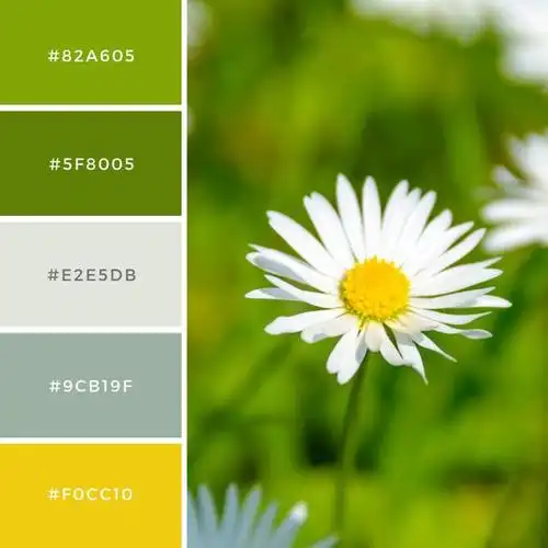 设计图片不会配色快来这抄各种色系值已配好