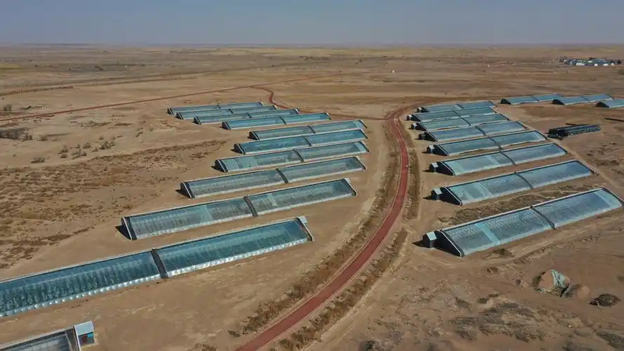 用团结奋斗的大手,阻止两大沙漠"握手"