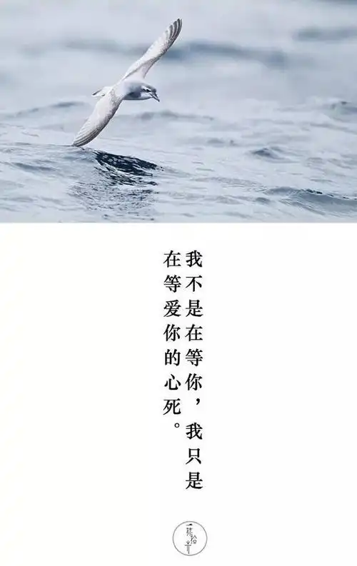 一段感情真正结束的标志是.