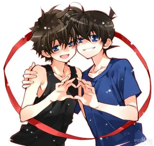 柯南里的四对情侣,你最喜欢那一对呢?最后一对好腐啊.