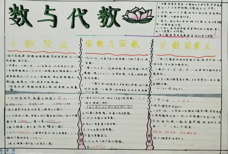 五年级下册《数与代数》整理