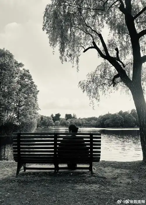 刘浩存长椅背影照##刘浩存对镜素颜自拍