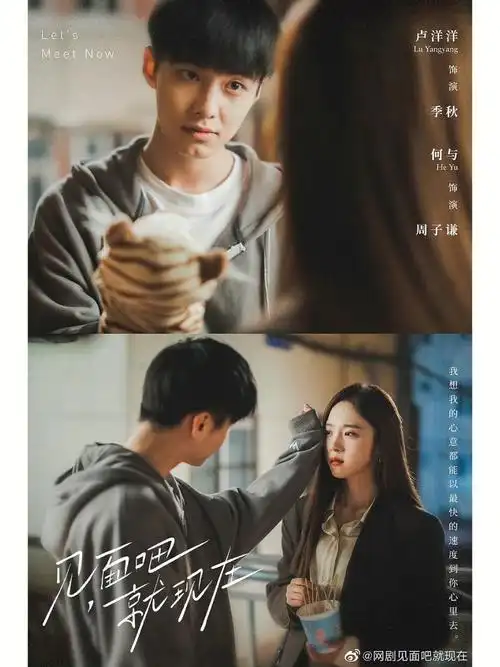 猫的树真的好会拍见面吧就现在