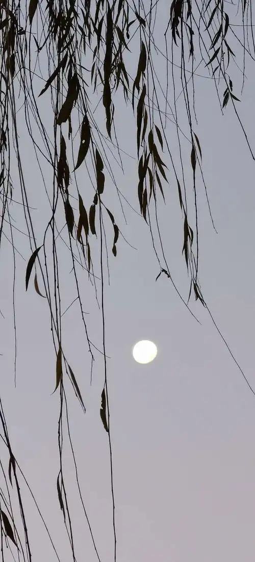 充满诗意的月亮