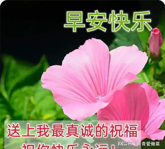 春季清早问候大家早上好的漂亮祝福图片早上好问候语祝福短信