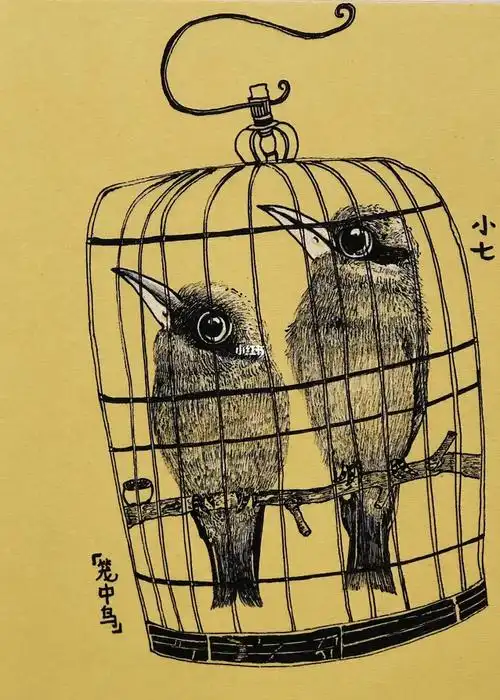 今日画笼中鸟线描