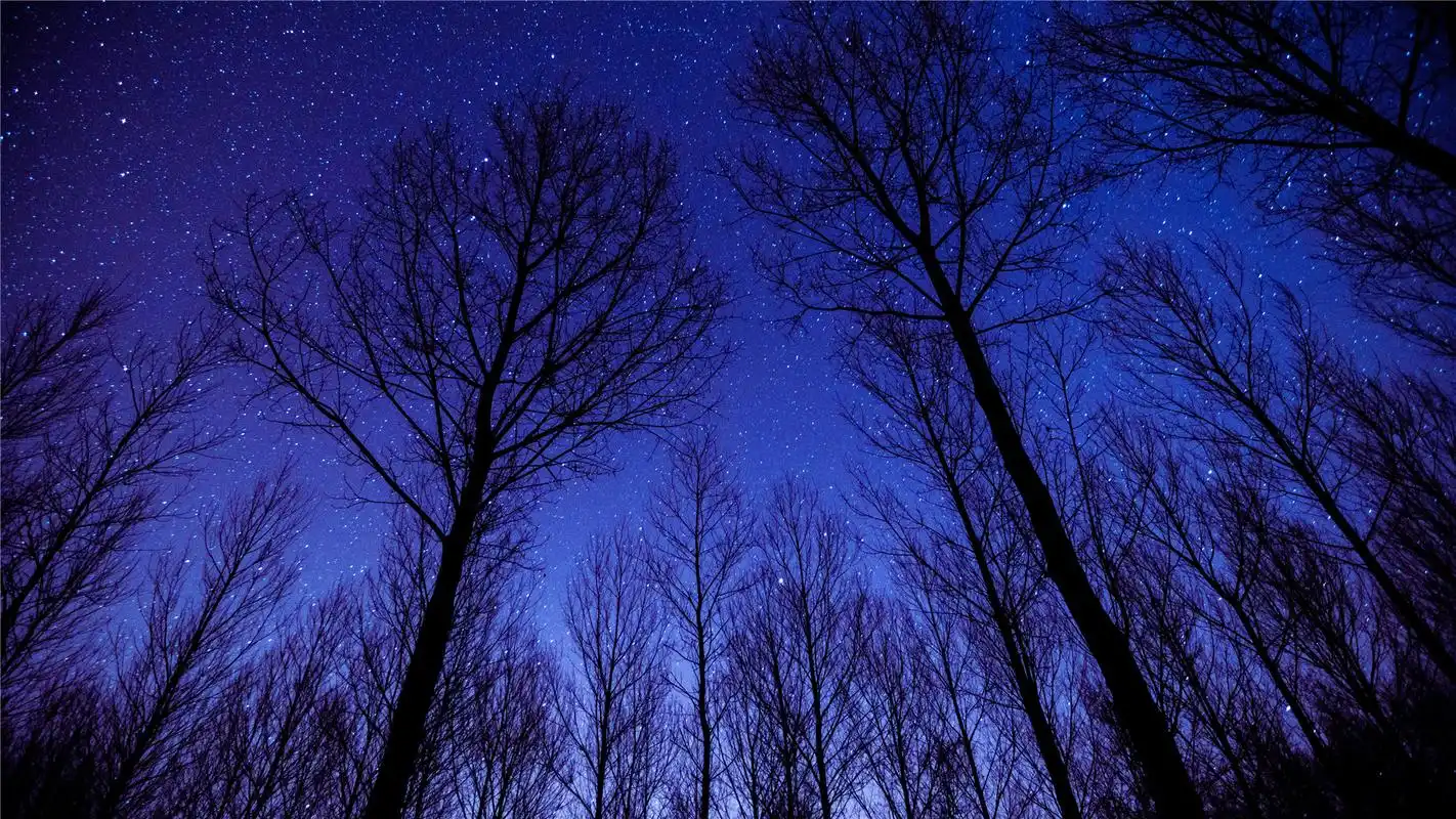 夜景星空唯美高清桌面壁纸