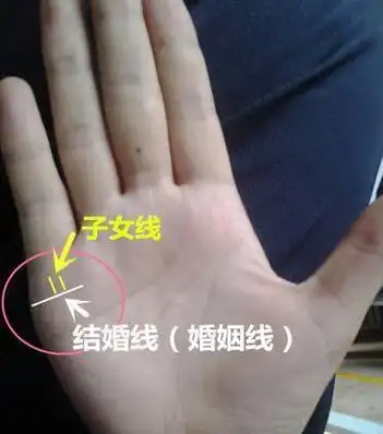 "你是生男还是生女", 看看手上就知道!