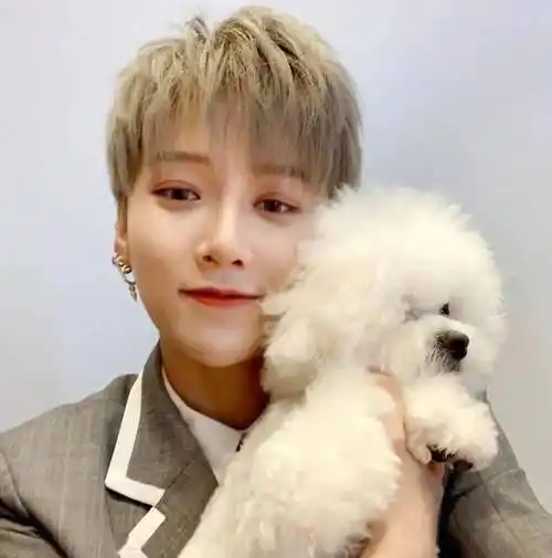 微信头像刘雨昕