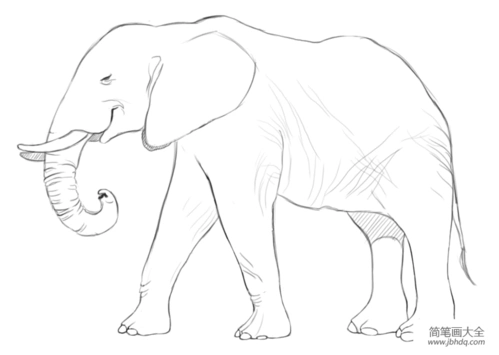 如何画非洲象