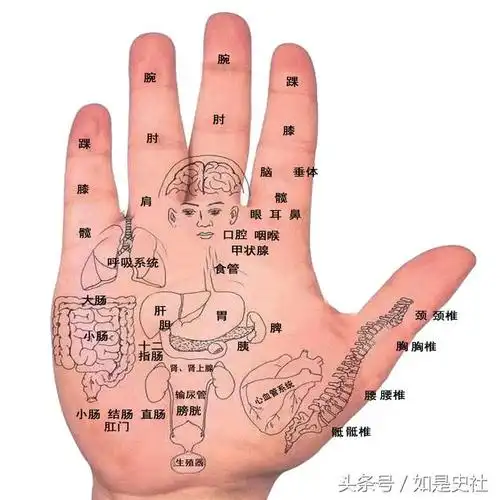 第8集易学实用系列五行金有自己的五行吗
