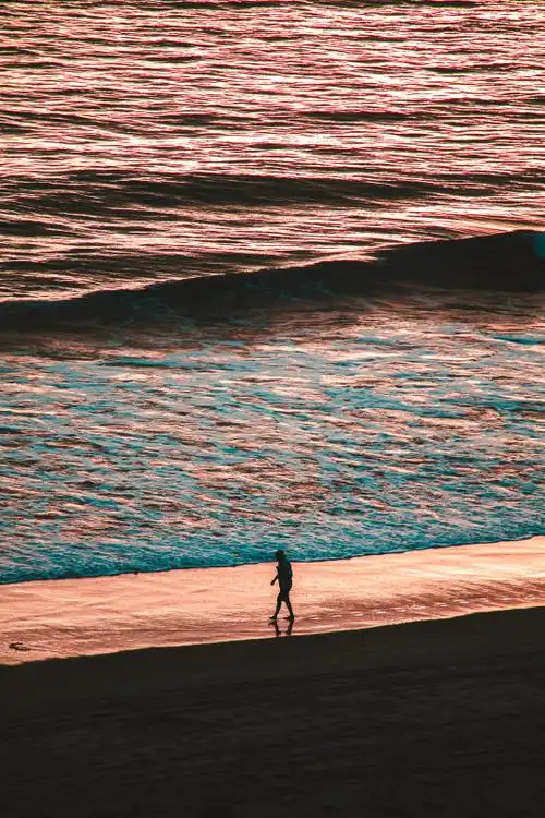 在海边独自行走的人的照片-一个人,人,剪影,岸,旅行,步行,水,沙,海
