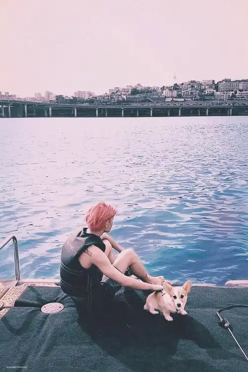 黄明昊 背上的2xx2 删除 赞回应 来自 豆瓣app