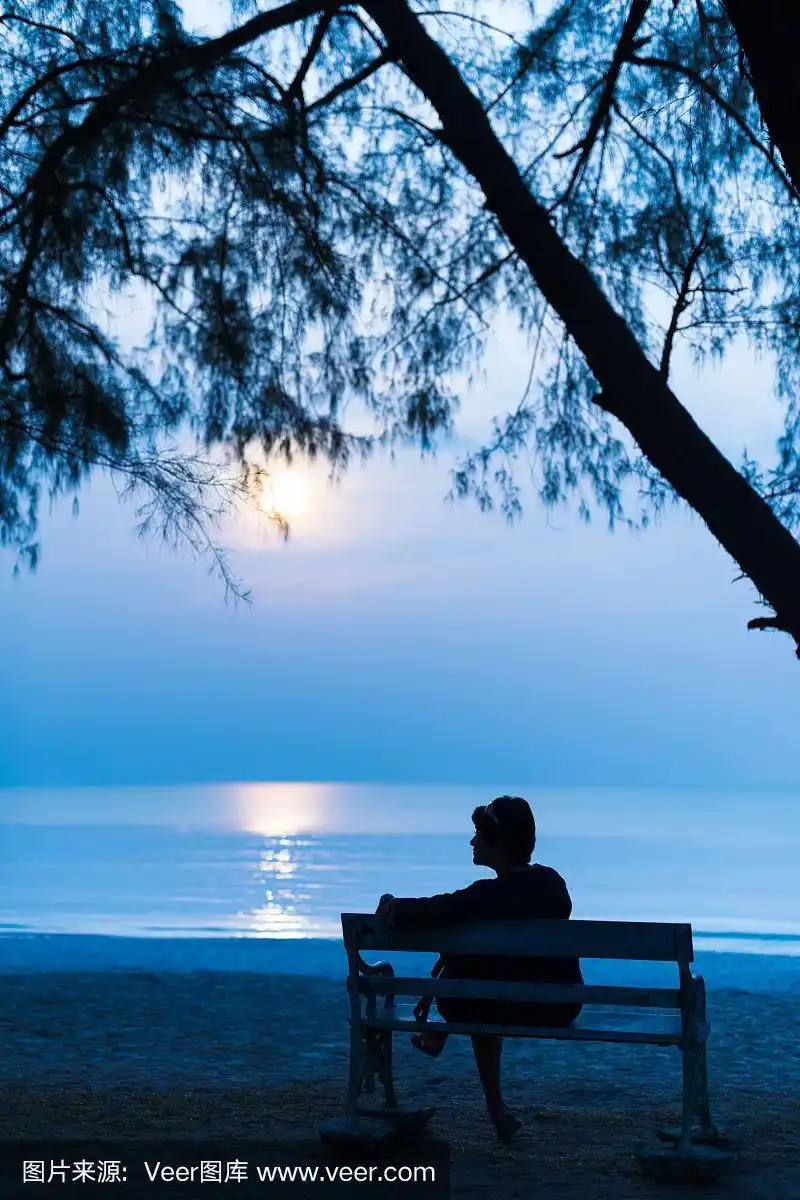 夜晚的女人,月亮在海滩上