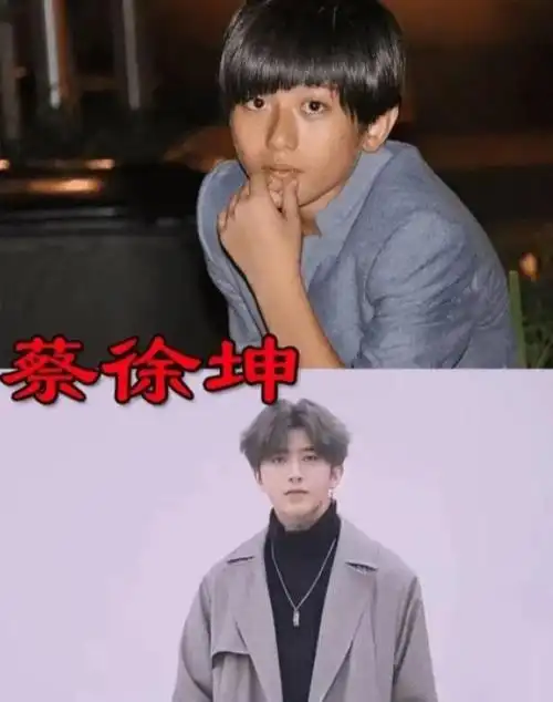 "当初嫌他丑,如今追成狗",蔡徐坤非主流,看到肖战:我后悔了