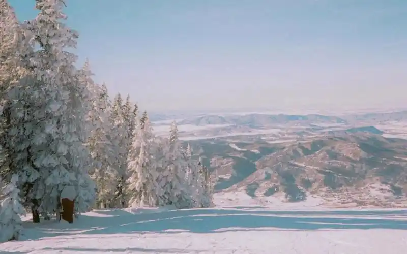 审美积累 | 你那里下雪了吗 | ins博主:alexkittoephotos