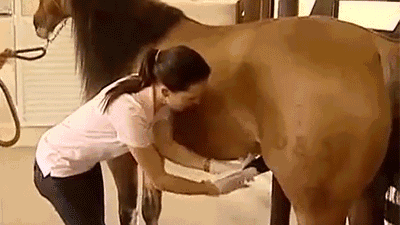 收集员无论男女,在动物面前都一视同仁.