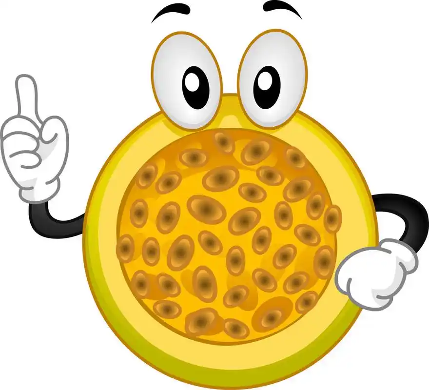 百香果的吉祥物,百香果带有提出其食指的吉祥物图