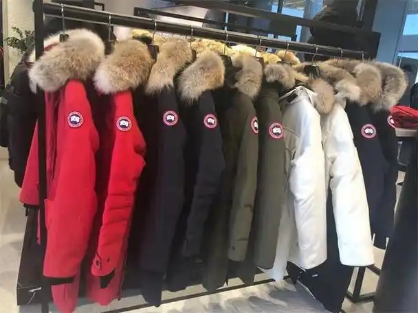 红极一时的加拿大鹅羽绒服,为何跌下神坛?看完4个缺点