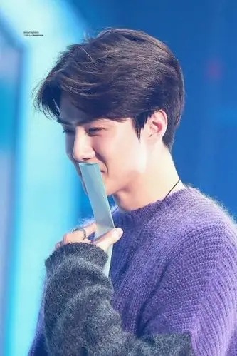 吴世勋篇—姐姐,晚上见-全明星:你也喜欢我吧-话本小说网