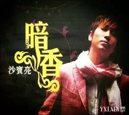 不务正业的沙宝亮唱火了暗香后都干了些什么