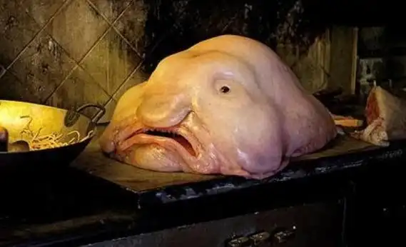 世界上最恶心的鱼,狼牙虾虎鱼(满口獠牙看一眼就恶心)