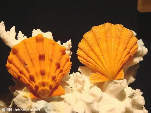 向晚雨无痕博客