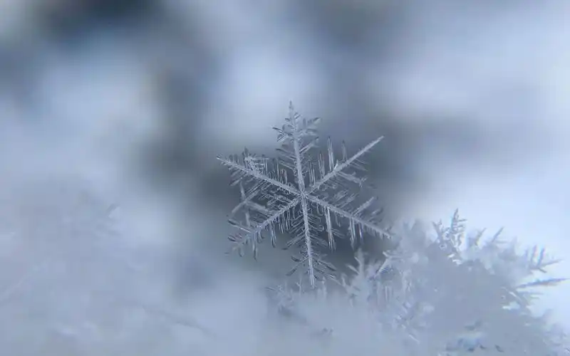 首页 桌面壁纸 风景壁纸 唯美好看的雪花图片电脑壁纸