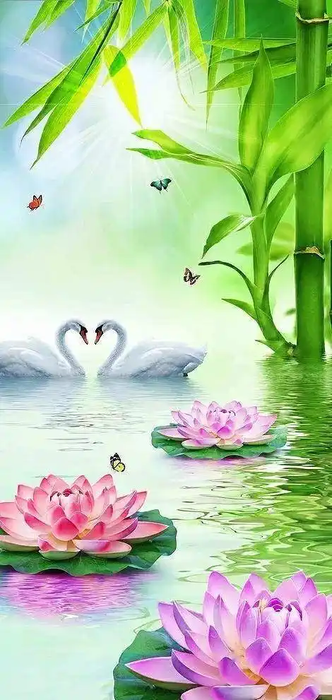 39张精致不重样的微信头像全屏壁纸一道道独特的美景