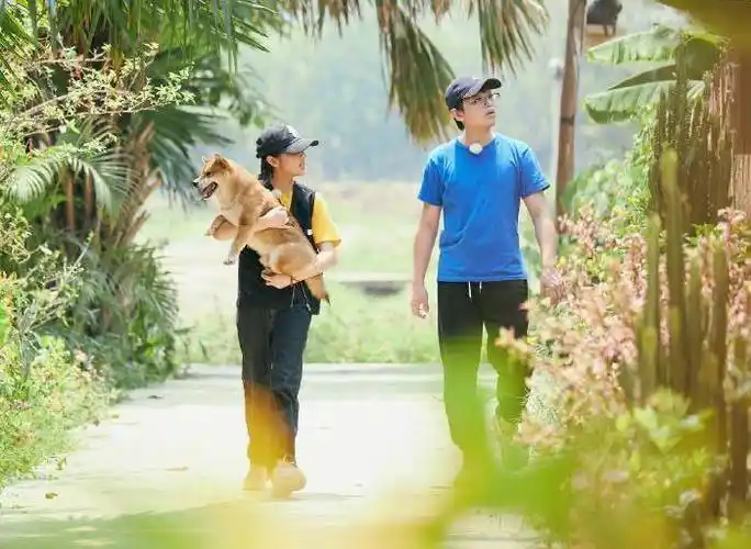 《向往4》下期预告,张子枫"一家三口"录节目,何炅都夸她幸福_黄磊