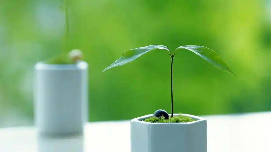 唯美清新护眼绿叶高清宽屏桌面壁纸