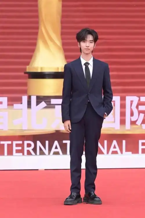 北影节红毯:马丽好隆重,朱一龙帅得明显,费翔气质满分