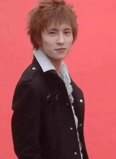 杨紫肖战不算啥,看到薛之谦:换头了?_成为了_专辑_变化