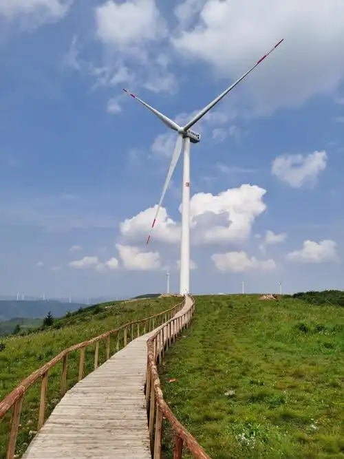1岚县饮马池高山草甸走了走,本来打算去王家村看土豆花路上堵车去不成