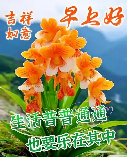 幸福就像清风一样时刻陪伴在你的身边给予你温暖和关怀;就像清茶一样