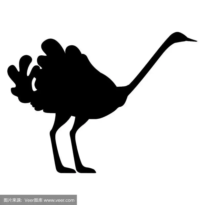 黑色剪影可爱的鸵鸟停留在两条腿上非洲不会飞的鸟卡通动物设计平面