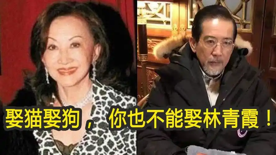 70岁邵乔茵近况让秦汉发誓宁可娶猫娶狗也不能娶林青霞