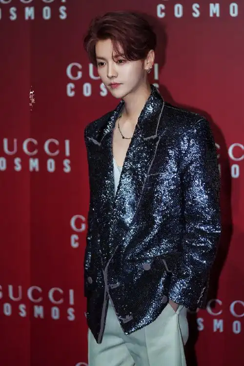 gucci红毯##嗑颜bot#鹿晗今日活动   好能打的颜,好棒的状态