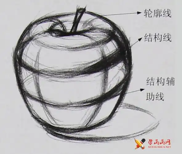 素描静物:苹果素描图解步骤教程