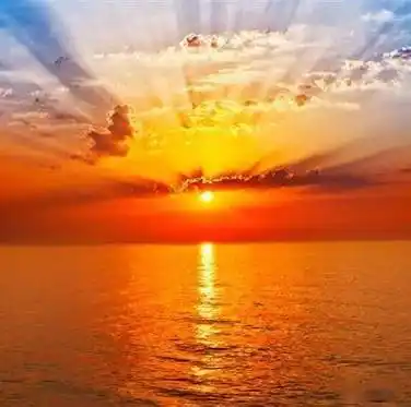 中老年头像大全有财气又吉利的招财微信头像图片