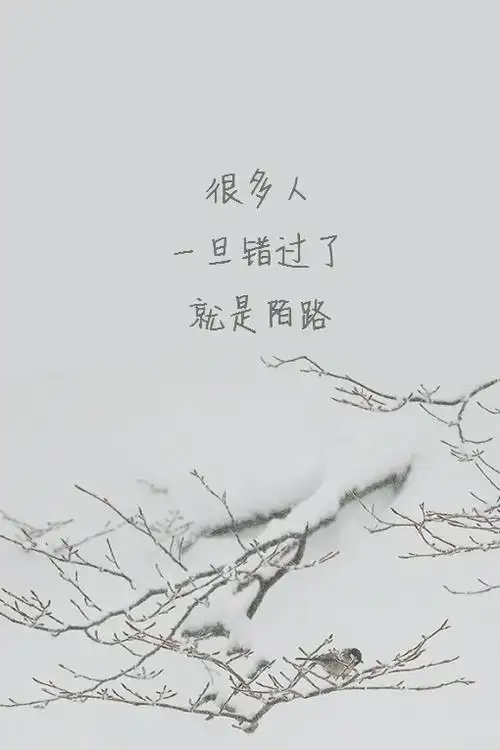 很多人,一旦错过了,就是陌路 by.yoyo——… - 堆糖,美图壁纸兴趣社区