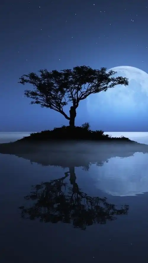 唯美月亮iphone 5高清精选手机壁纸_唯美_手机壁纸下载_美桌网