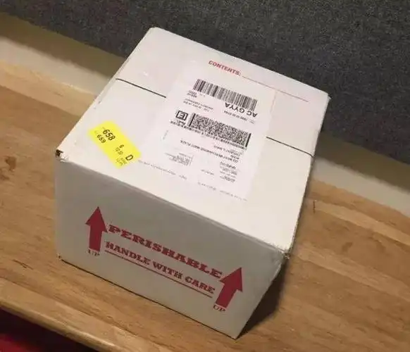 龟友,你有一份来自外国的宠物龟快递需要签收