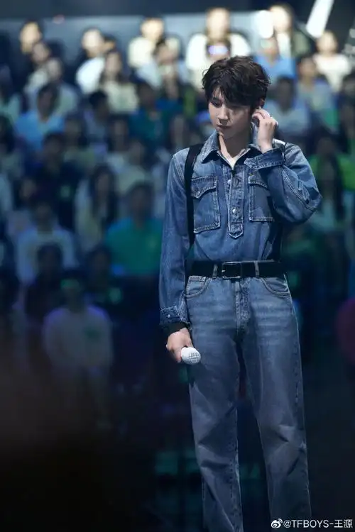 文章介绍了王源"a singer in a popular chineseband, and a tv and